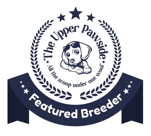 UpperPawSide Featured Breeder badge — top beagle breeders in North Carolina